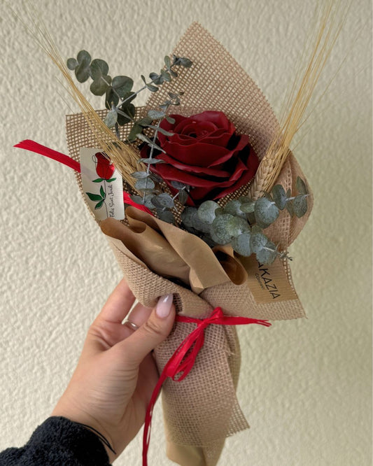 ROSA ROJA (B2B)