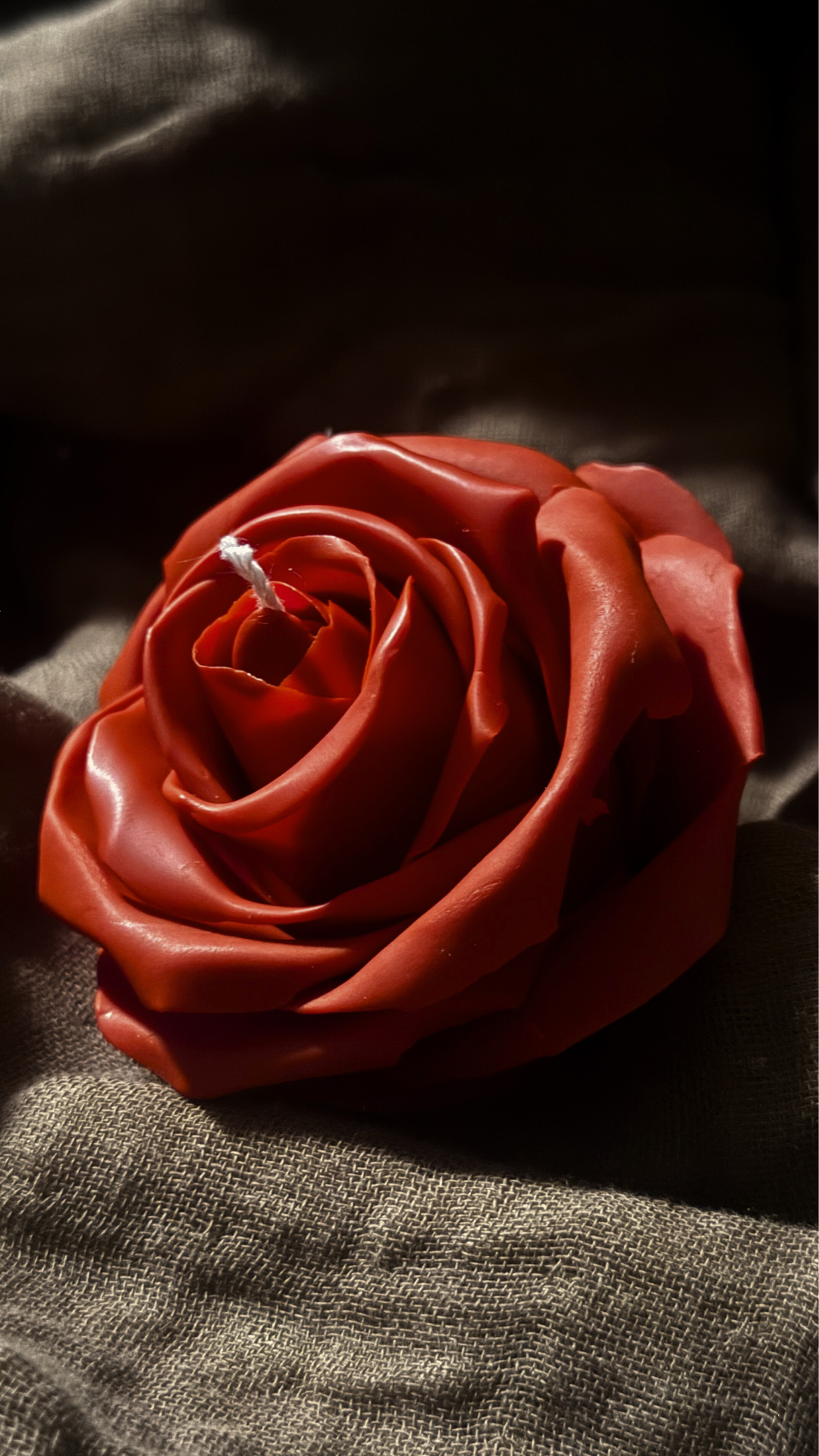 ROSA ROJA (B2B)